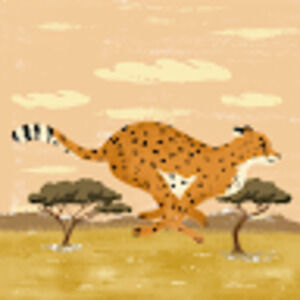 Meet your Posher, Antonio